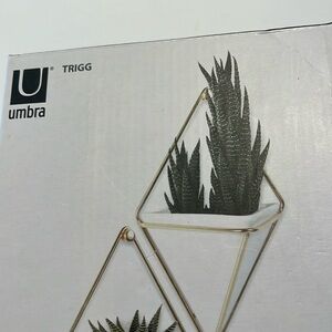 2 wall hanging small planters